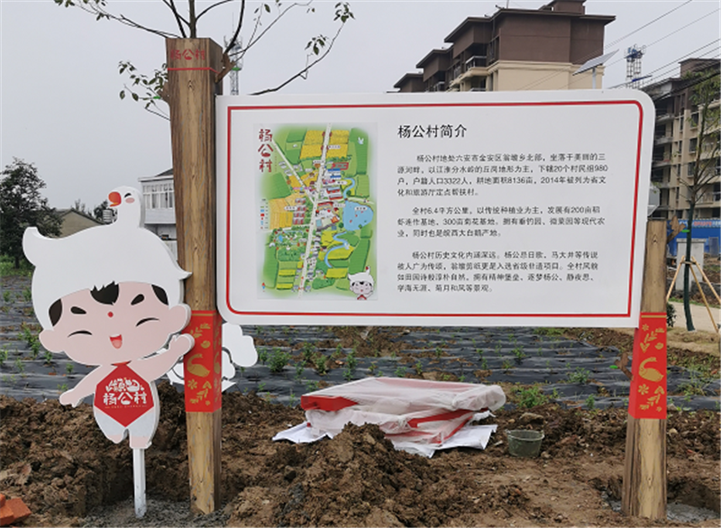 微信圖片_20200702171449_副本.png
